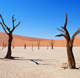 deadvlei-2011373_1280.jpg