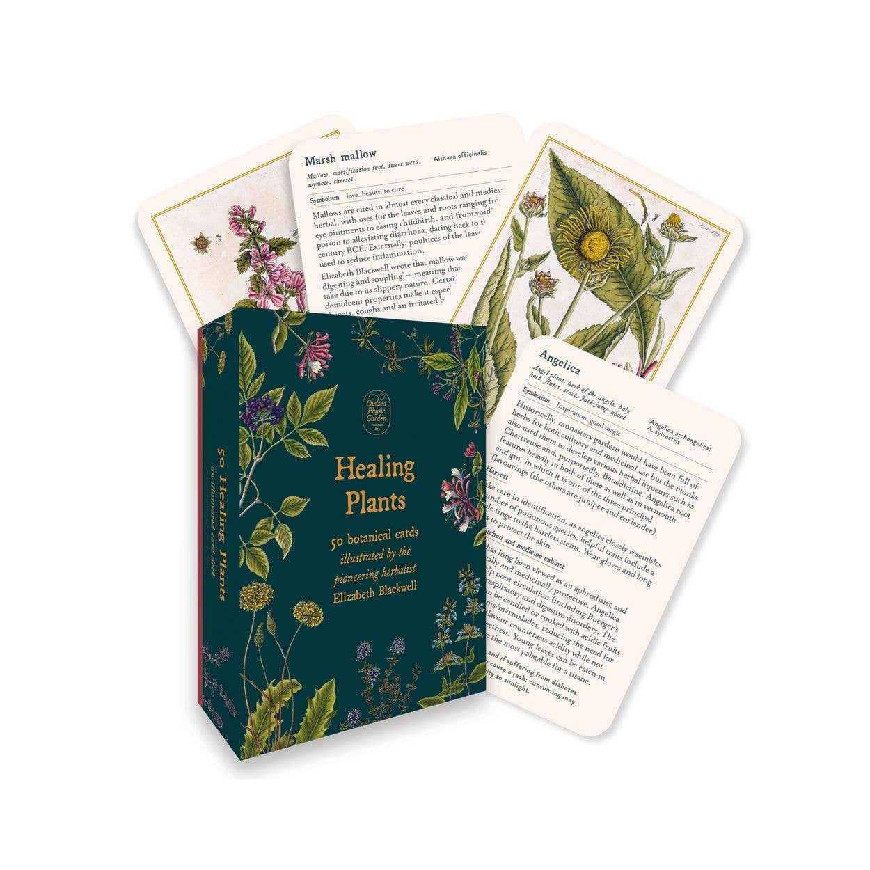 Healing Plants Information Cards