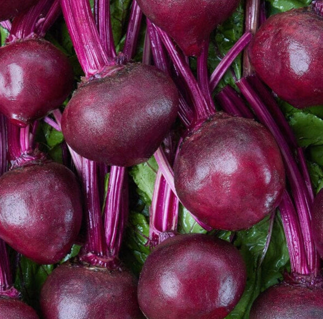 Merlin Beet Seeds