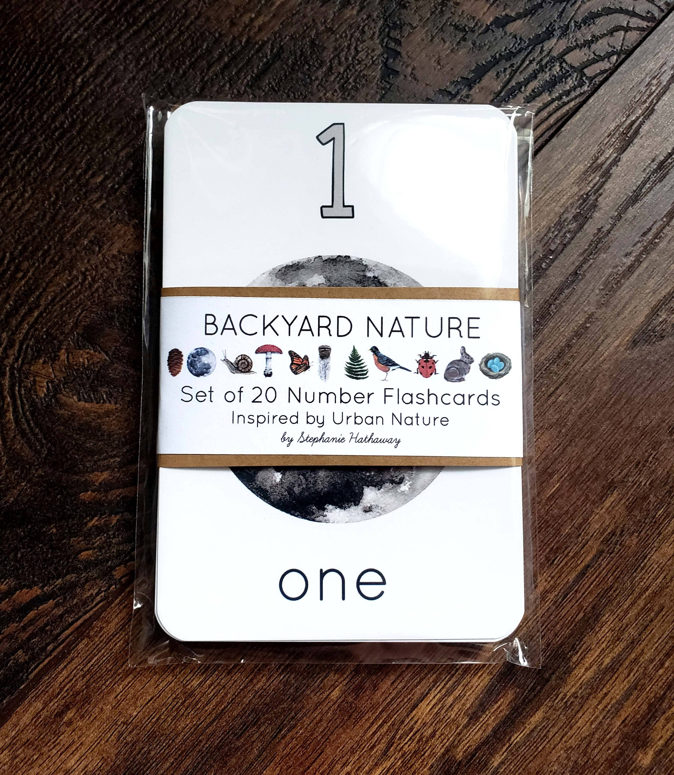 Backyard Nature Counting Cards (Set of 20 Cards)