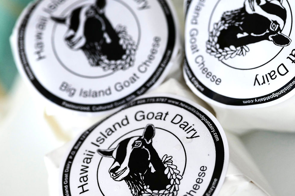 HawaiiIslandGoatCheese.JPG