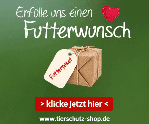 banner-tierheim-wunschliste-animiert-250x300_neu_3.gif