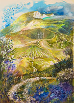 Sussex landscape, cliffs, white tracks, country lanes, bluebells, vineyards