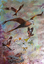 Red Kites, flying, nesting, washing on line, angry woman