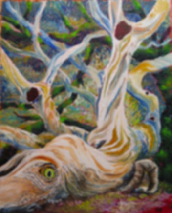 Tree Bark, Metamorphosis 2. 2024