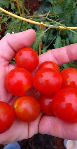 IMG_20190720_072754927 (1).jpg