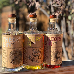 Any Three Theory Gins (3 pack) | Old Trestle