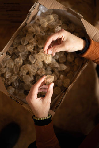 Sophie Blanc - ©Marion Saupin (10).JPG