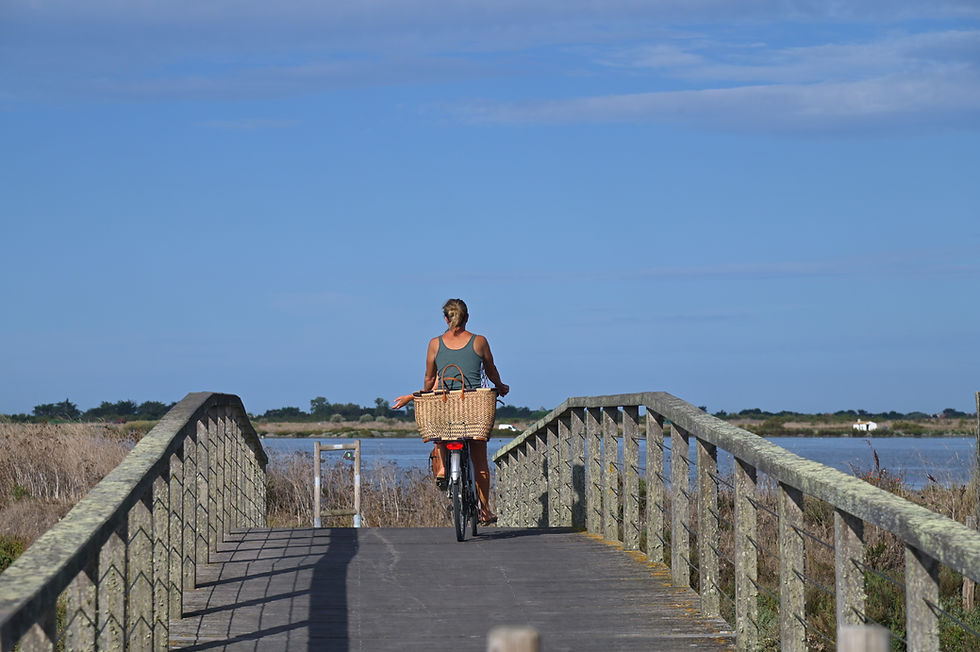 Radtour auf der Île de Ré