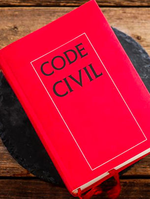 Droit civil : Droit des contrats Droit de la construction Droit locatif Droit de la copropriété Droit de la consommation Droit de la responsabilité civile et professionnelle 