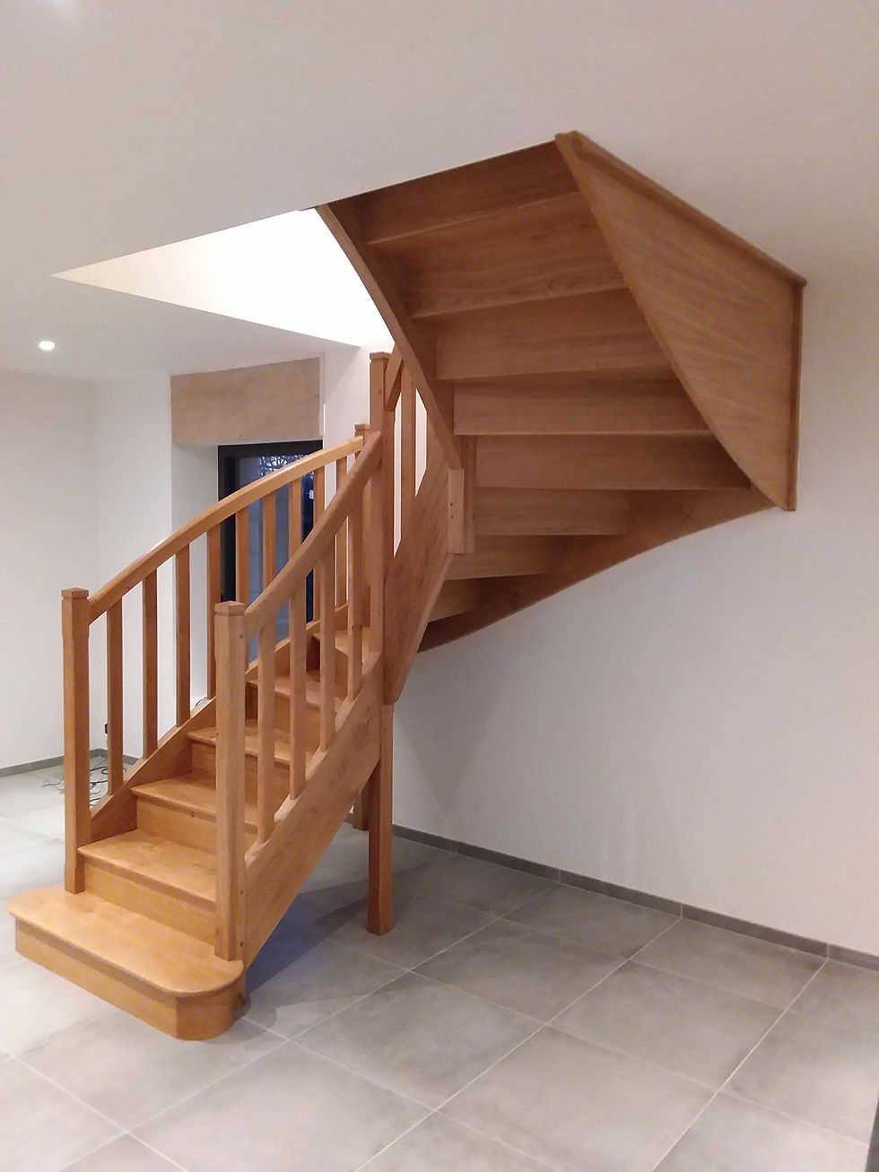 escalier 1 - chat.jpg