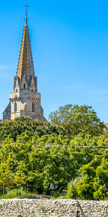 Villen, Häuser und Wohnungen in Sainte-Marie-de-Ré