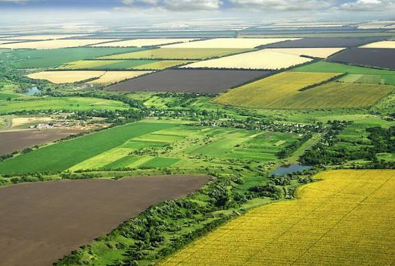 Землекористувачі та власники землі сплатили понад 21 мільйонів гривень.