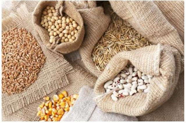 КОНТРОЛЬ ЗА ЗБЕРІГАННЯМ НАСІННЯ