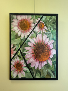 Cone Flowers