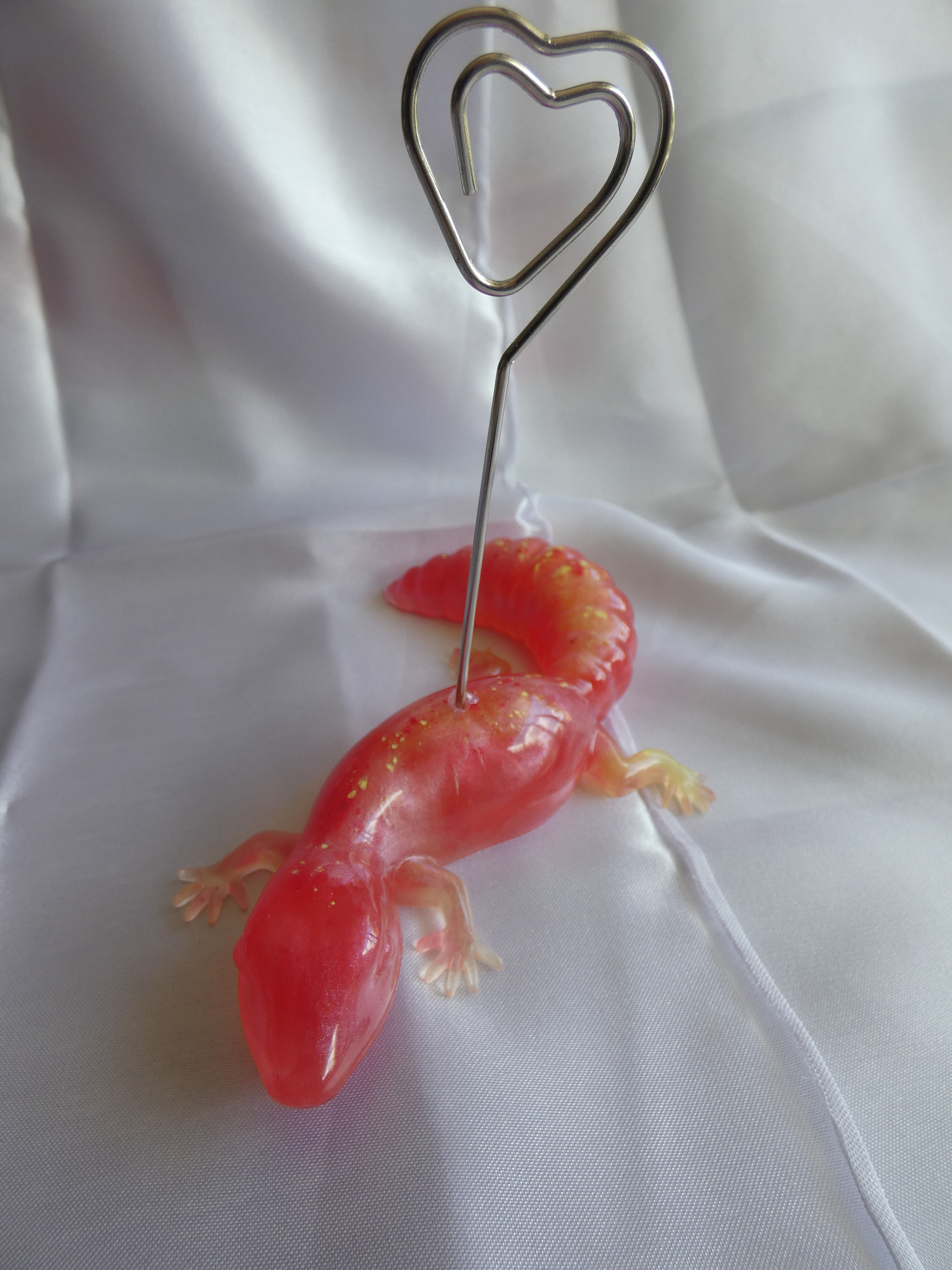 Portes photos Proteus