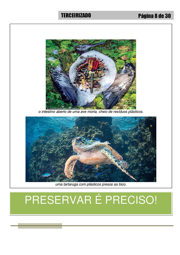 Terceirizado 2° Edição-08.jpg