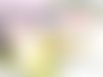 川越店 4月桜撮影受付開始