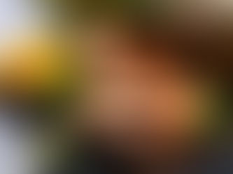 Como fazer bom uso de laxantes naturais?