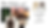 mood board with cursive font and images that reflect a brown color scheme for a luxury clothing brand