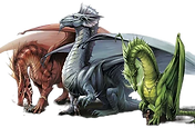 Dragons_-_Eva_Widermann_edited.png