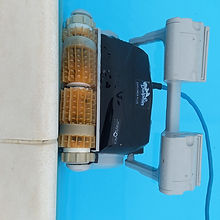 ROBOT DOLPHIN PULITORE BORDO.jpg