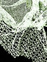image0.jpeg