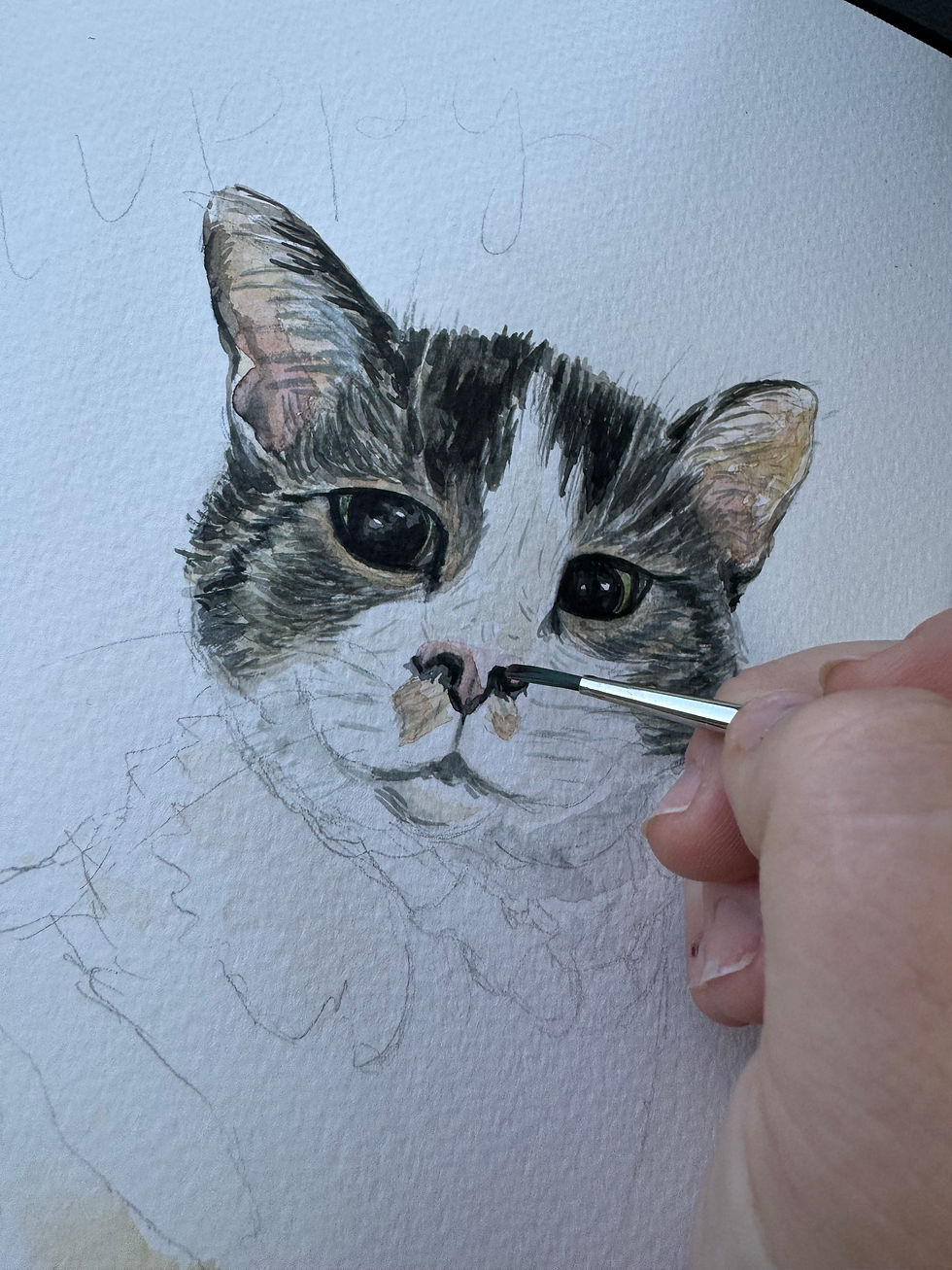 Thumbnail: Pet Portrait
