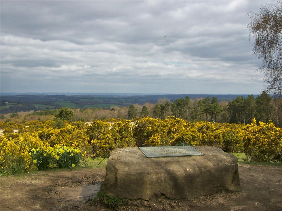 Landscape photo of Ashdown Forest with a stone in the foreground, yellow gorse bushes, trees, and a cloudy sky; wide landscape orientation.
