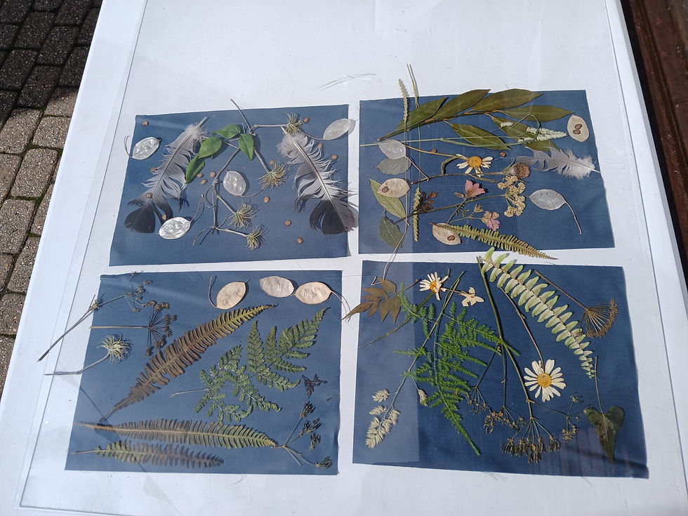 Pressed leaves and flowers artwork on blue backgrounds, landscape photo