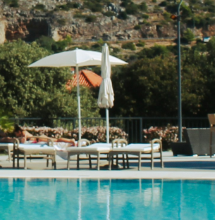 Il Polpo non sbaglia mai