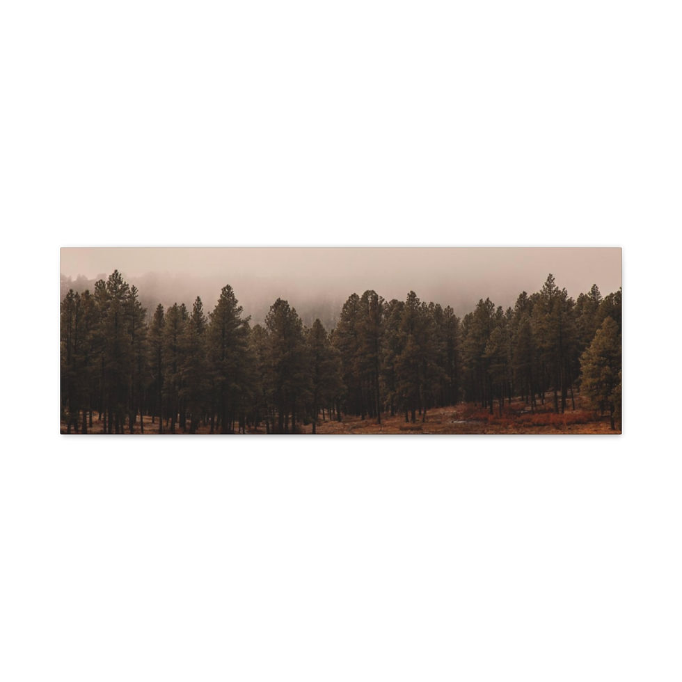 Thumbnail: Tree Fog Canvas Gallery Wraps