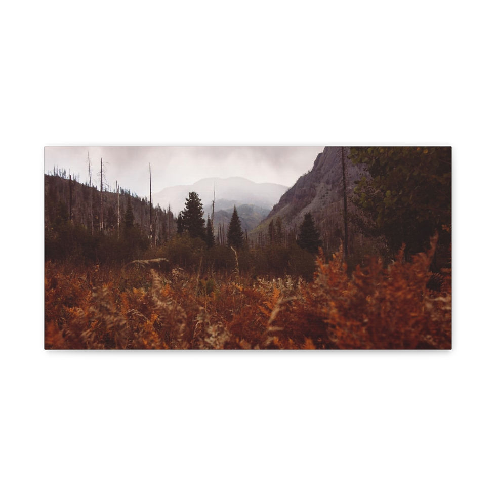 Thumbnail: Weminuche Canvas Gallery Wraps