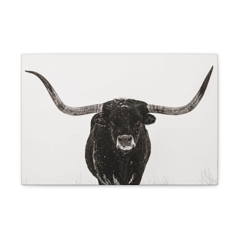 Thumbnail: Jango Black and White Canvas Gallery Wraps