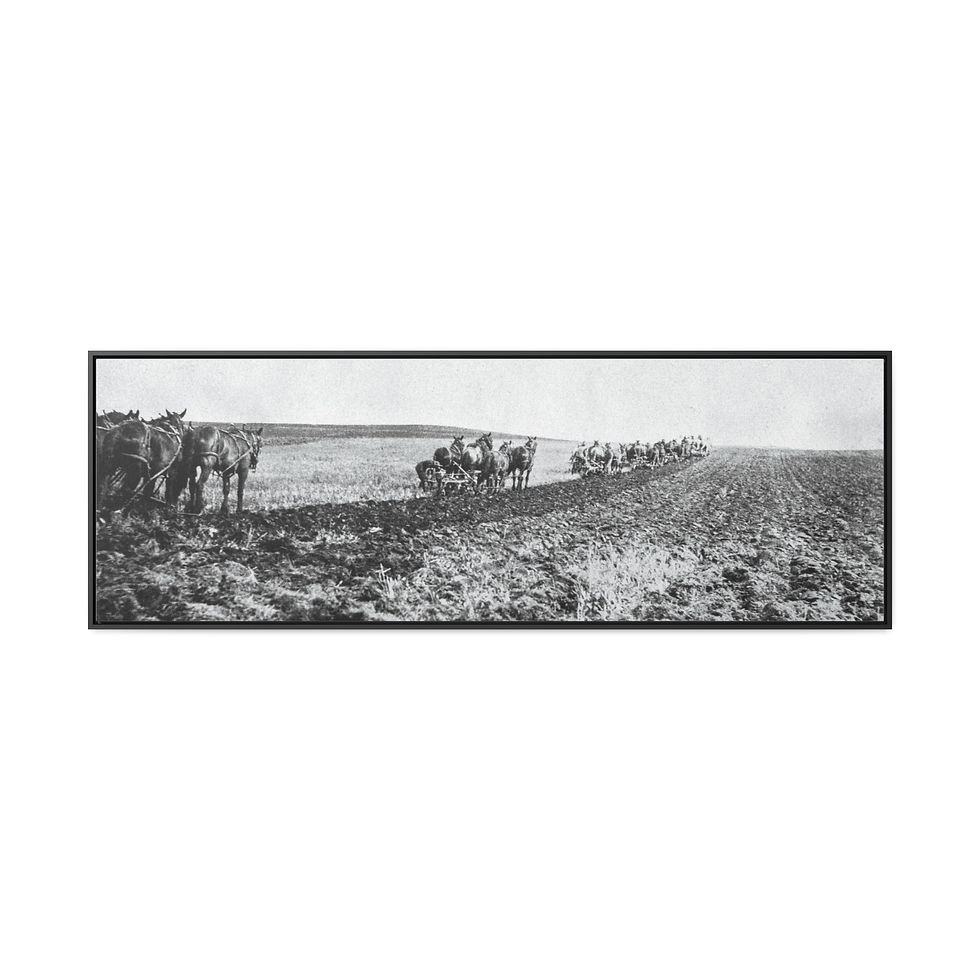 Thumbnail: Gallery Canvas Wraps, Horizontal Frame