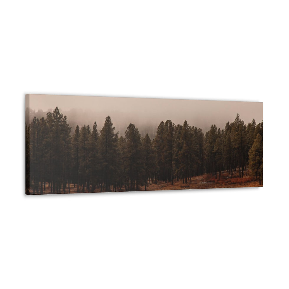 Thumbnail: Tree Fog Canvas Gallery Wraps