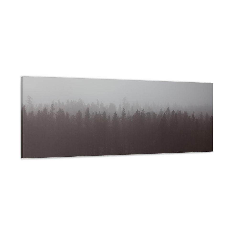 Thumbnail: Mountain Fog Canvas Gallery Wraps
