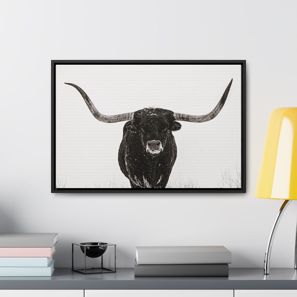 Thumbnail: Canvas Wrap Wall Art Longhorn in Snow Black and White