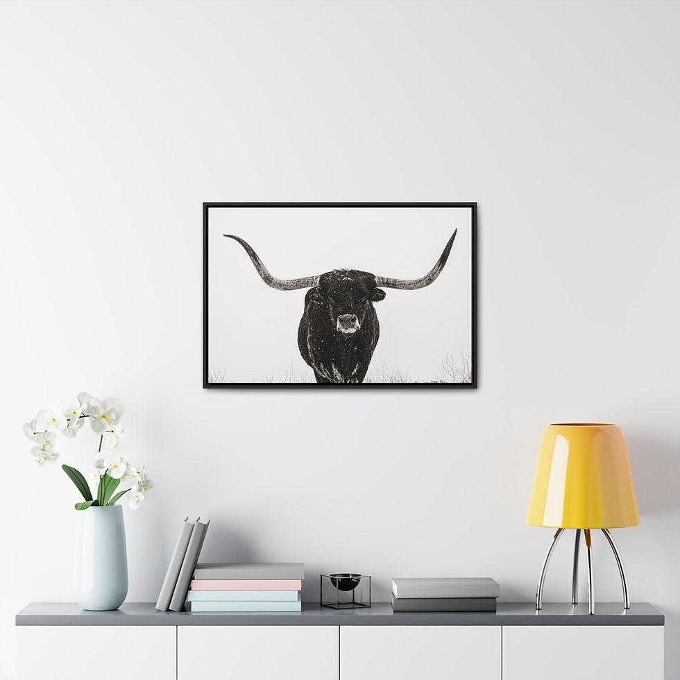 Thumbnail: Canvas Wrap Wall Art Longhorn in Snow Black and White