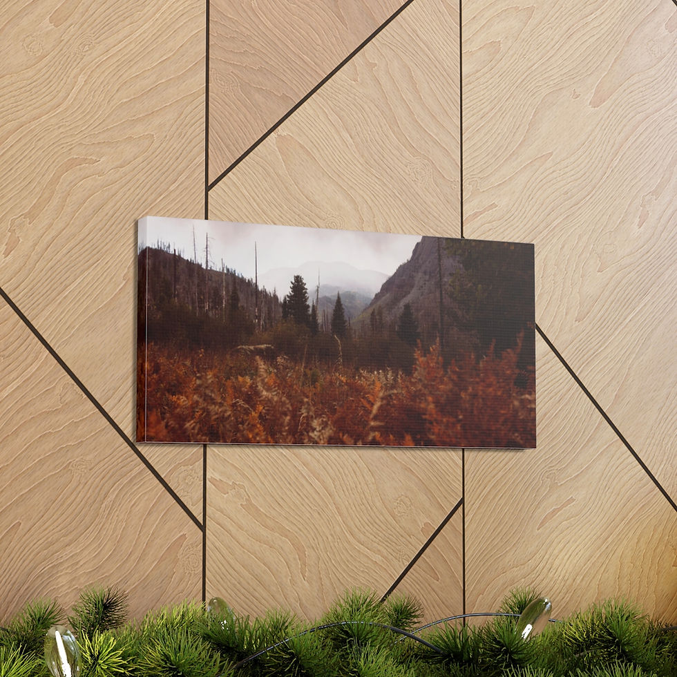 Thumbnail: Weminuche Canvas Gallery Wraps
