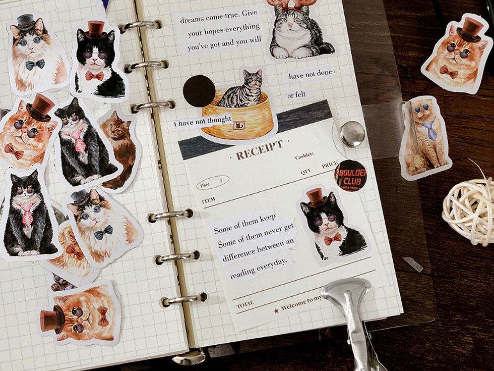 Thumbnail: 45pcs Cool Cat Stickers, Mr. Cat Journal and Planner Stickers