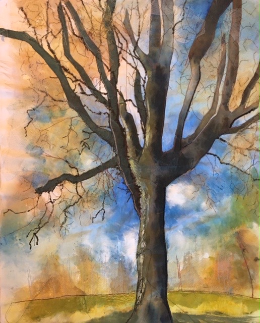 'Tall Tree'