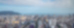 aerial-view-of-santos-city-santos-sao-paulo-br-2022-03-17-15-51-15-utc.jpg