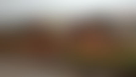 Good Things Come to Those Who Whine