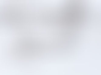 A branch with the buds in wintertime at the Central Park in Manhattan