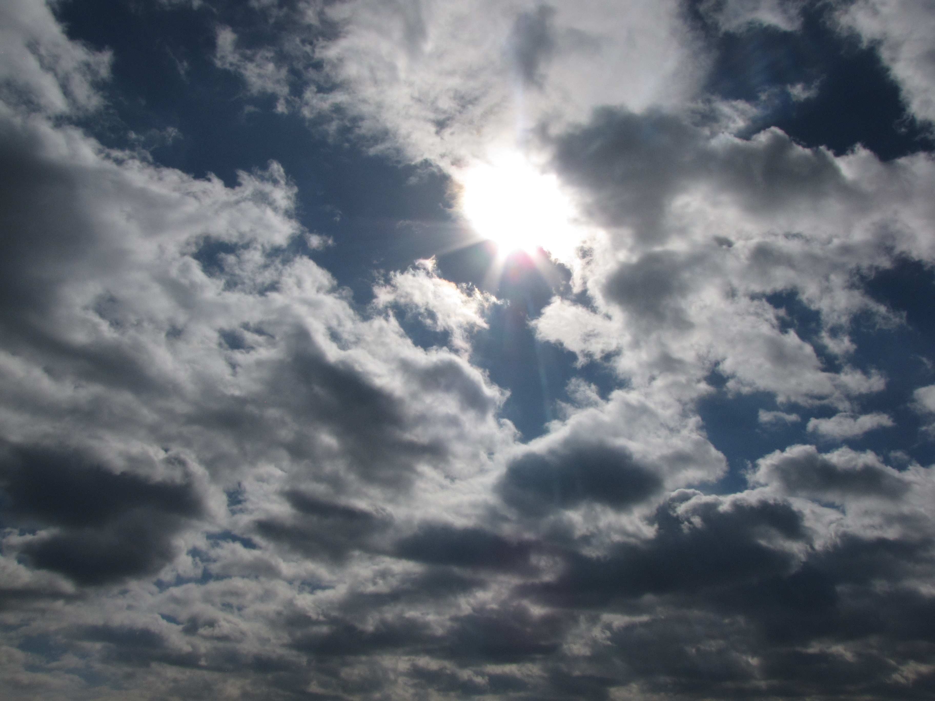 We can always find the light