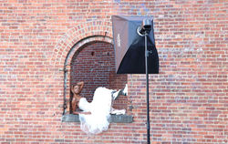 Fashion photography