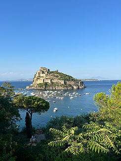 Ischia Il castello aragonese visto da Cartaromana