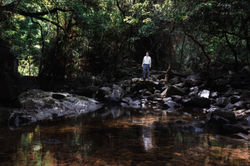 Interview of Environmental Educator Dr. Xoni Ma