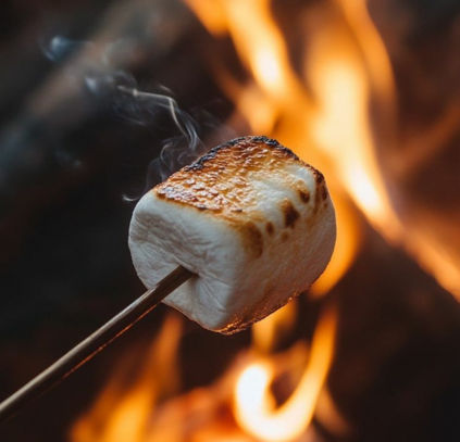 Mon Reve Estate Accommodation cottages - BBQ